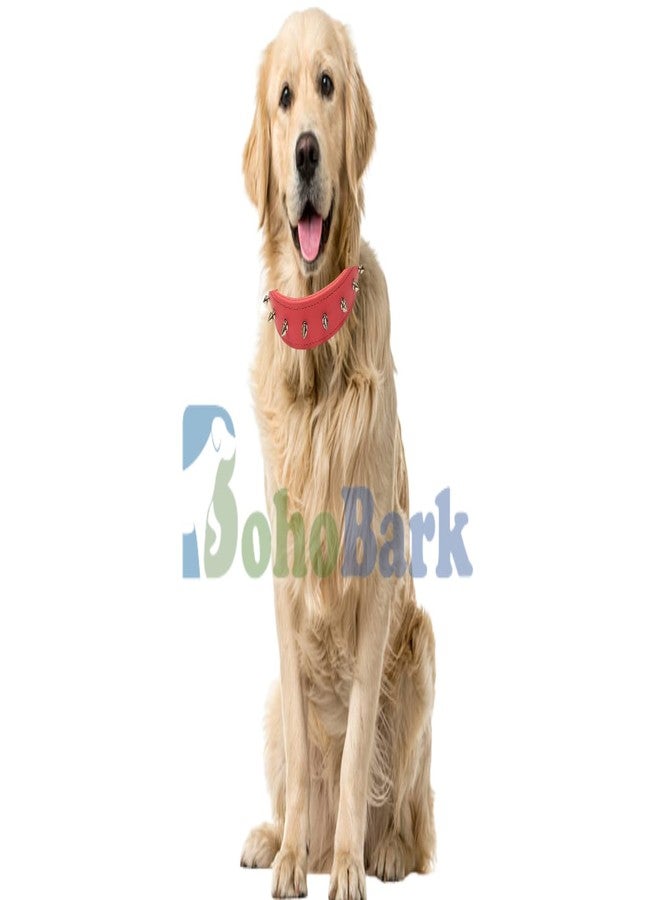 BohoBark Leather Single Spike Pu Dog Collar Belt, Medium, Black - Image 5